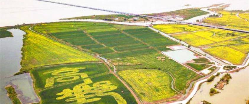 高(gāo)郵湖(hú)上(shàng)花(huā)海(hǎi)一(yī)日(rì)遊